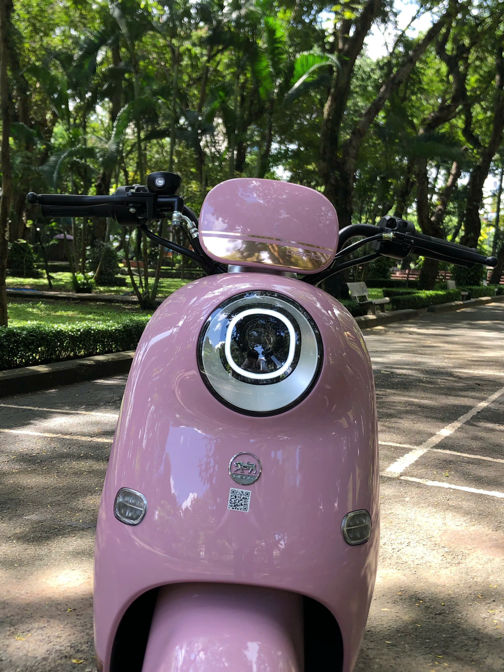 Xe đạp điện Dibao Rosa thế hệ mới