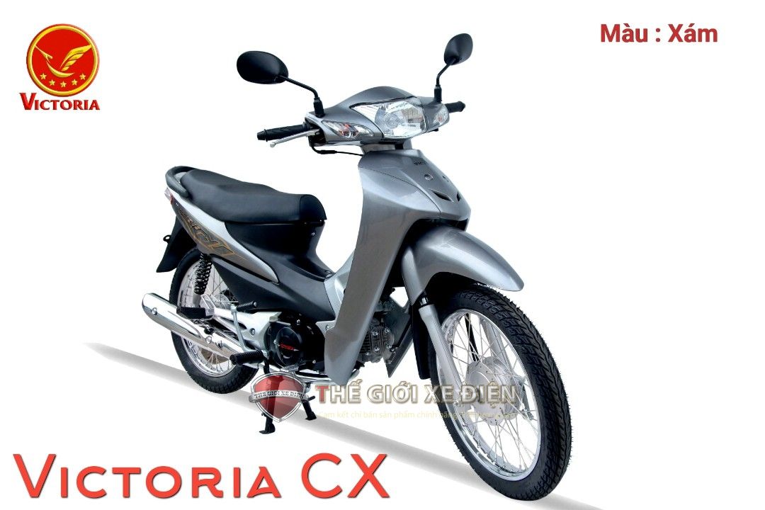 Bí quyết săn giá xe số 50cc Wave rẻ mà chất lượng
