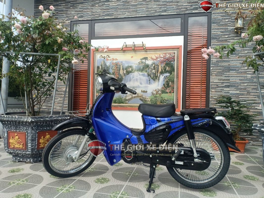 Giá xe số 50cc Victoria tháng 6/2025 chuẩn và chi tiết