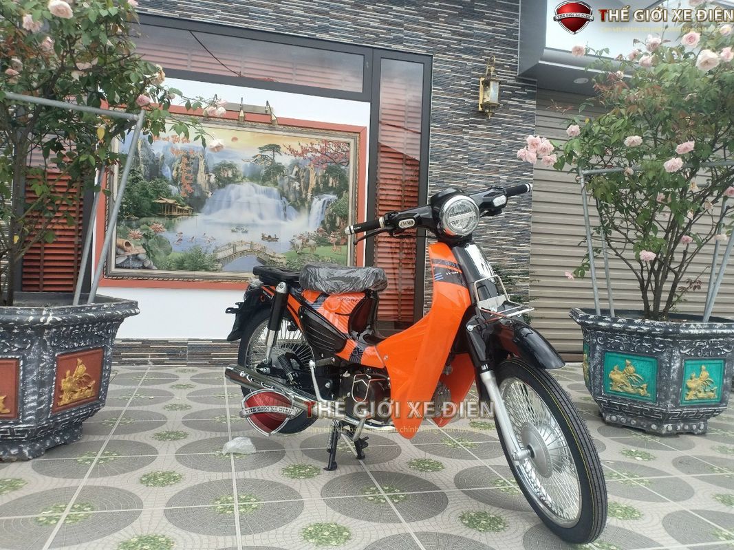Giá xe số 50cc Victoria tháng 6/2025 chuẩn và chi tiết